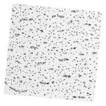 Load image into Gallery viewer, Cortega 2'x2' Ceiling tile