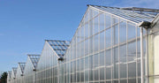 How Polycarbonate Sheets Boost Greenhouse Efficiency